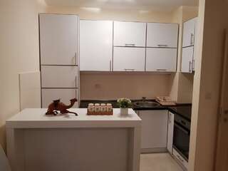 Апартаменты Apartmant City Love Подгорица Апартаменты Делюкс-4