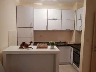 Апартаменты Apartmant City Love Подгорица Апартаменты Делюкс-6