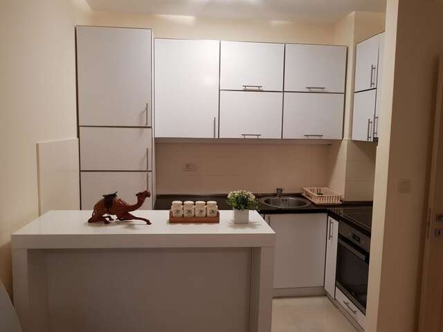 Апартаменты Apartmant City Love Подгорица-18