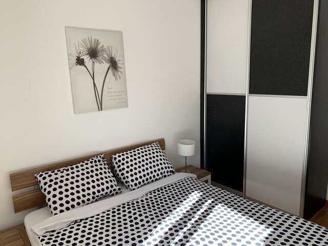 Апартаменты Apartmant City Love Подгорица-6