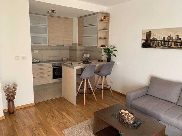 Апартаменты Apartmant City Love Подгорица-7